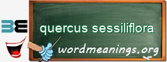 WordMeaning blackboard for quercus sessiliflora